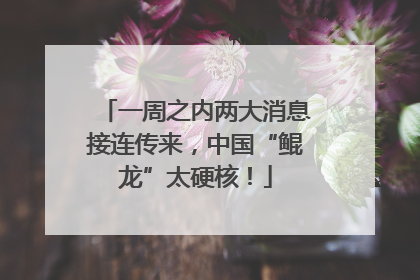 一周之内两大消息接连传来，中国“鲲龙”太硬核！