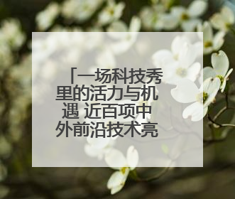 一场科技秀里的活力与机遇 近百项中外前沿技术亮相中东欧博览会“数智中东欧”板块