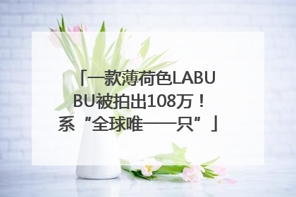 一款薄荷色LABUBU被拍出108万！系“全球唯一一只”