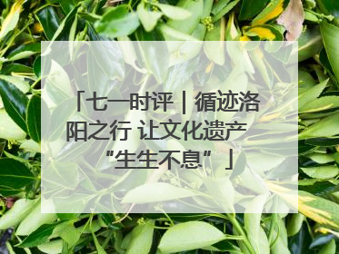 七一时评｜循迹洛阳之行 让文化遗产“生生不息”