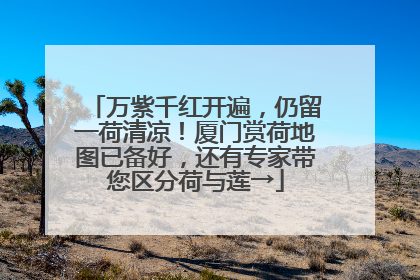 万紫千红开遍，仍留一荷清凉！厦门赏荷地图已备好，还有专家带您区分荷与莲→