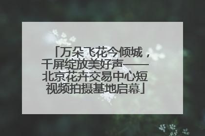 万朵飞花今倾城，千屏绽放美好声——北京花卉交易中心短视频拍摄基地启幕