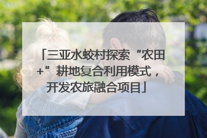 三亚水蛟村探索“农田+”耕地复合利用模式，开发农旅融合项目