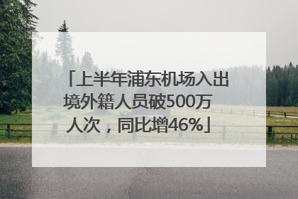 上半年浦东机场入出境外籍人员破500万人次，同比增46%