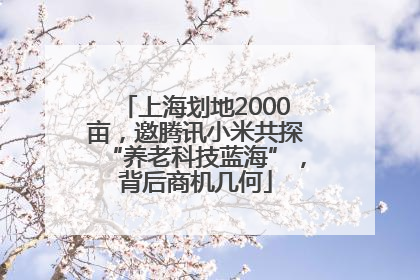 上海划地2000亩，邀腾讯小米共探“养老科技蓝海”，背后商机几何
