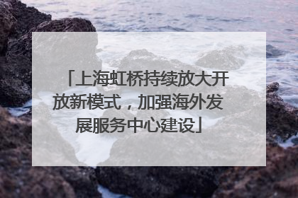 上海虹桥持续放大开放新模式，加强海外发展服务中心建设