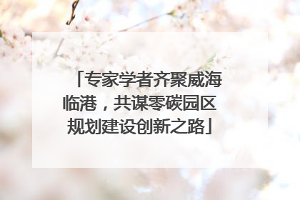 专家学者齐聚威海临港，共谋零碳园区规划建设创新之路