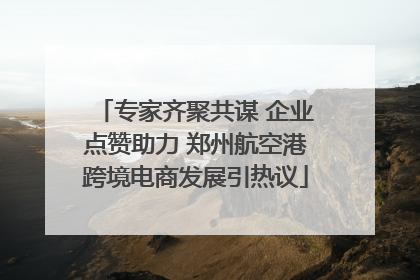专家齐聚共谋 企业点赞助力 郑州航空港跨境电商发展引热议