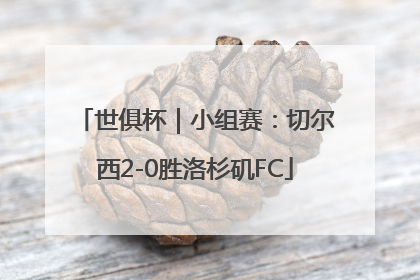 世俱杯｜小组赛：切尔西2-0胜洛杉矶FC