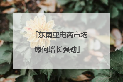 东南亚电商市场缘何增长强劲