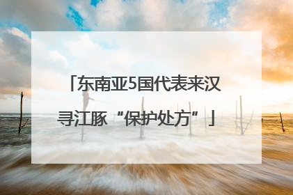 东南亚5国代表来汉寻江豚“保护处方”