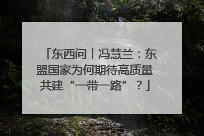 东西问丨冯慧兰：东盟国家为何期待高质量共建“一带一路”？