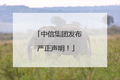 中信集团发布严正声明！