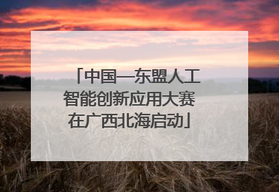 中国—东盟人工智能创新应用大赛在广西北海启动