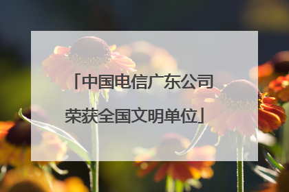 中国电信广东公司荣获全国文明单位