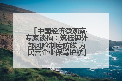 中国经济微观察·专家谈构：筑抵御外部风险制度防线 为民营企业保驾护航