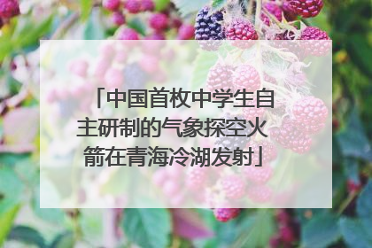 中国首枚中学生自主研制的气象探空火箭在青海冷湖发射