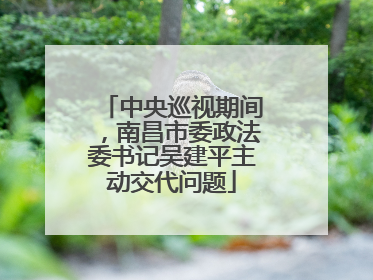 中央巡视期间，南昌市委政法委书记吴建平主动交代问题