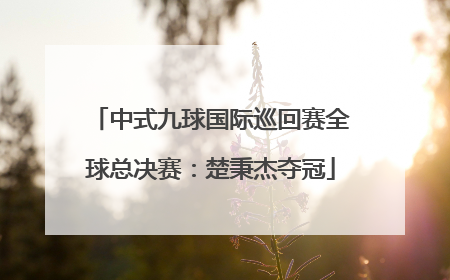 中式九球国际巡回赛全球总决赛：楚秉杰夺冠