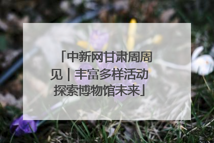 中新网甘肃周周见｜丰富多样活动探索博物馆未来