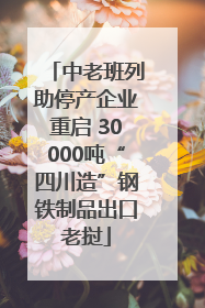 中老班列助停产企业重启 30000吨“四川造”钢铁制品出口老挝