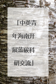 中英青年海南开展蓝碳科研交流