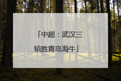 中超：武汉三镇胜青岛海牛
