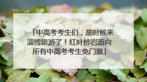 中高考考生们，是时候来淄博旅游了！红叶柿岩面向所有中高考考生免门票