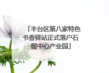 丰台区第八家特色书香驿站正式落户石榴中心产业园