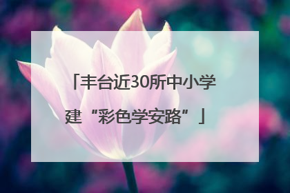 丰台近30所中小学建“彩色学安路”
