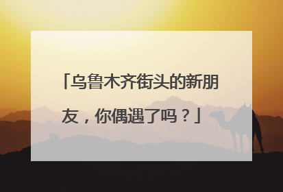 乌鲁木齐街头的新朋友，你偶遇了吗？