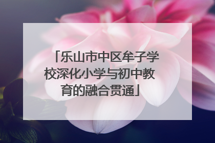 乐山市中区牟子学校深化小学与初中教育的融合贯通