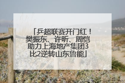 乒超联赛开门红！樊振东、许昕、周恺助力上海地产集团3比2逆转山东鲁能