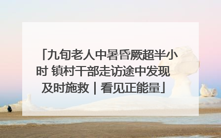 九旬老人中暑昏厥超半小时 镇村干部走访途中发现及时施救｜看见正能量
