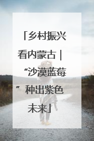 乡村振兴看内蒙古｜“沙漠蓝莓”种出紫色未来