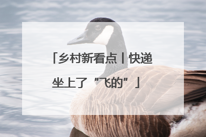 乡村新看点丨快递坐上了“飞的”