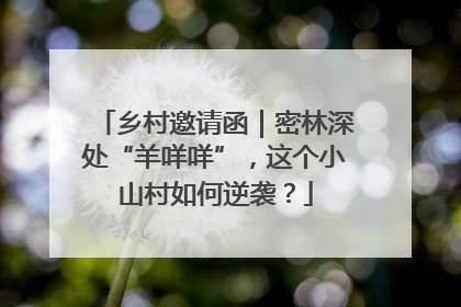 乡村邀请函｜密林深处“羊咩咩”，这个小山村如何逆袭？