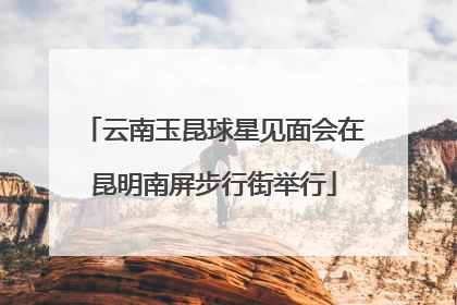 云南玉昆球星见面会在昆明南屏步行街举行