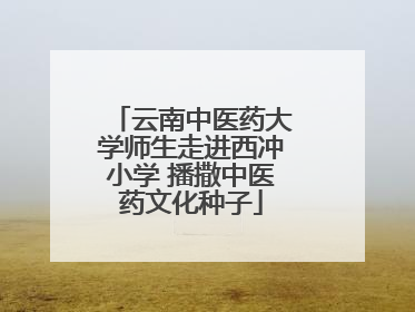 云南中医药大学师生走进西冲小学 播撒中医药文化种子