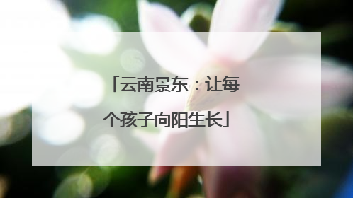 云南景东：让每个孩子向阳生长