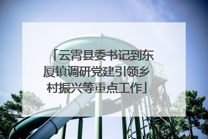 云霄县委书记到东厦镇调研党建引领乡村振兴等重点工作