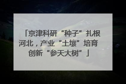 京津科研“种子”扎根河北，产业“土壤”培育创新“参天大树”