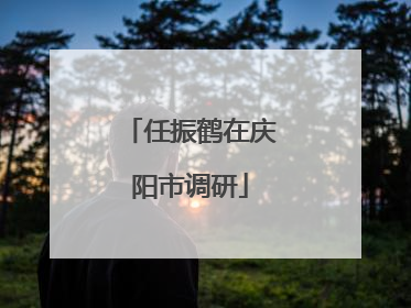 任振鹤在庆阳市调研