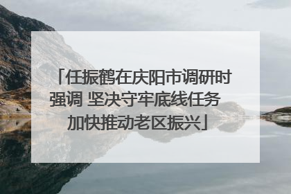 任振鹤在庆阳市调研时强调 坚决守牢底线任务 加快推动老区振兴