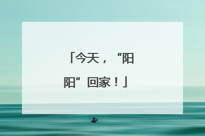 今天，“阳阳”回家！