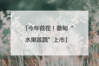 今年首茬！蔡甸“水果莲藕”上市