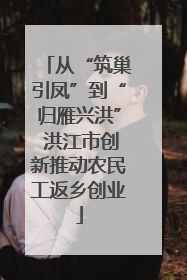 从“筑巢引凤”到“归雁兴洪” 洪江市创新推动农民工返乡创业