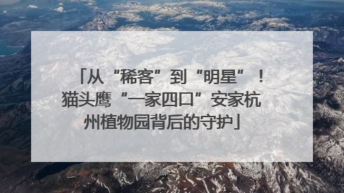 从“稀客”到“明星”！猫头鹰“一家四口”安家杭州植物园背后的守护