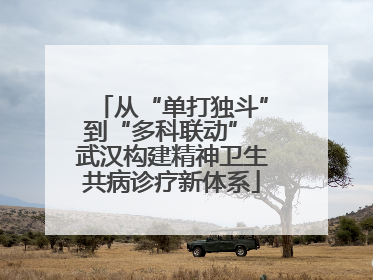 从“单打独斗”到“多科联动” 武汉构建精神卫生共病诊疗新体系