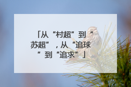 从“村超”到“苏超”，从“追球”到“追求”